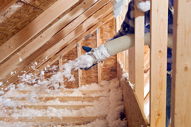 Best Basement Insulation  in Rolling Fork, MS